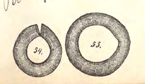 Lijevo: prapovijesni brončani prsten broj 81 iz Podcrkavlja u Slavoniji, unutrašnjeg promjera 2 centimetra, koji bi odgovarao prosječnoj širini prstenjaka današnjeg muškarca; Desno: prapovijesni brončani prsten broj 84 s istoga nalazišta, s iznadprosječnim promjerom od 2,75 centimetara (Izvor: Šime Ljubić (urednik) ”Popis arkeologičkoga odjela Nar. zem. muzeja u Zagrebu ...”, 1889.)