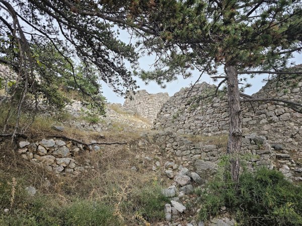 (Foto: Tomislav Beronić)