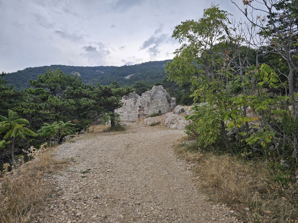 (Foto: Tomislav Beronić)