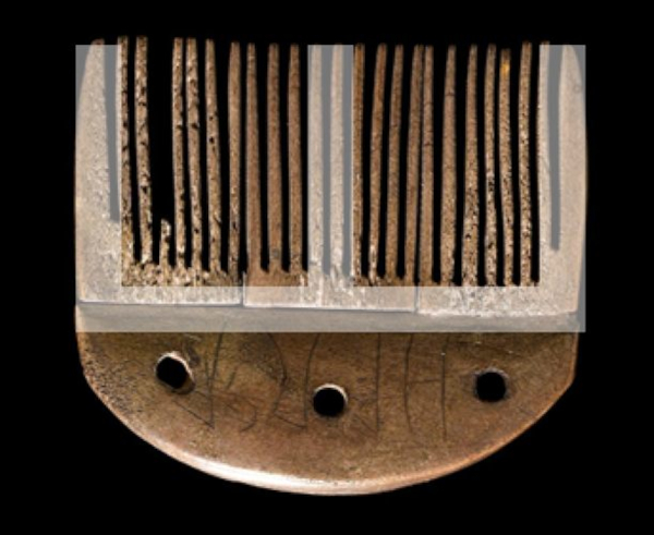 (Pripremio: Tomislav Beronić)