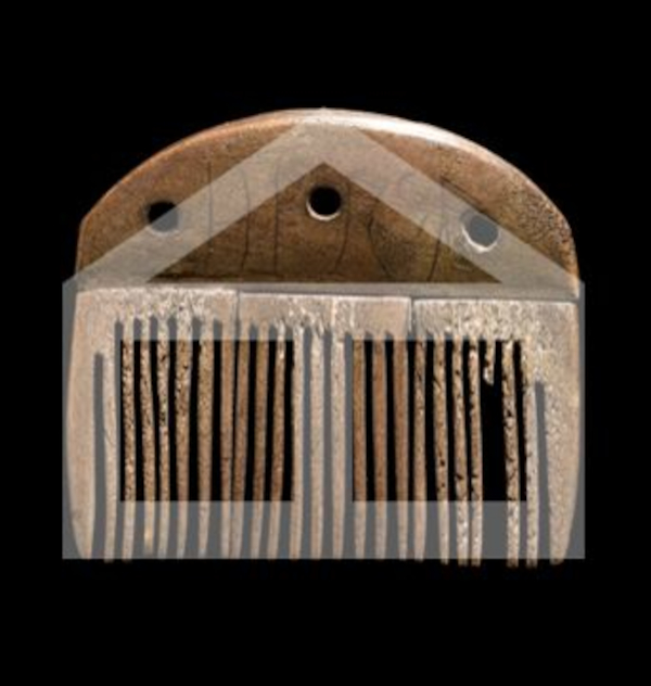 (Pripremio: Tomislav Beronić)