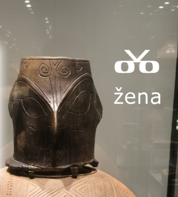 (Pripremio: Tomislav Beronić)