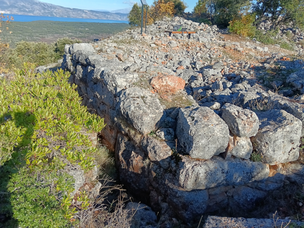 (Foto: Igor Tomek, 2026.)