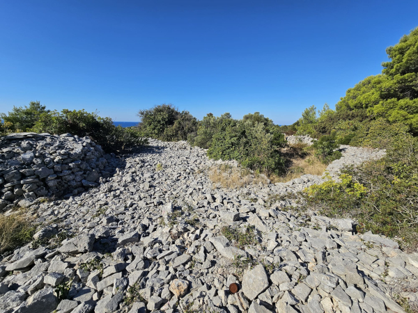 (Foto: Tomislav Beronić)