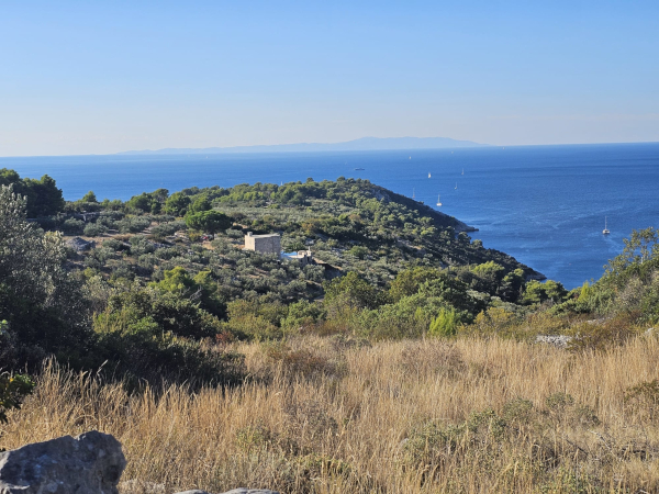 (Foto: Tomislav Beronić)