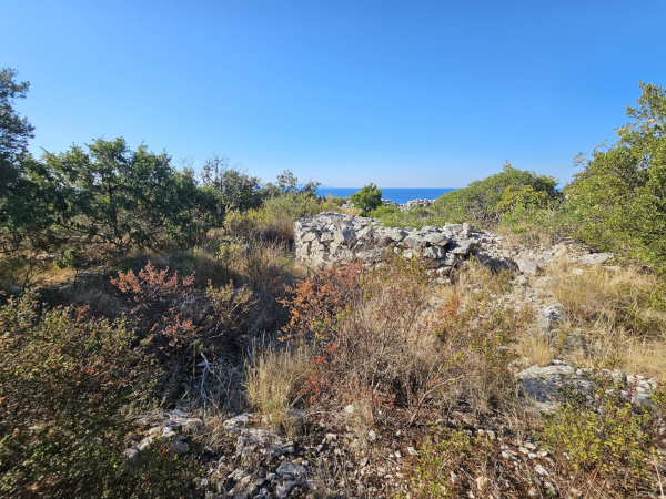 (Foto: Tomislav Beronić)