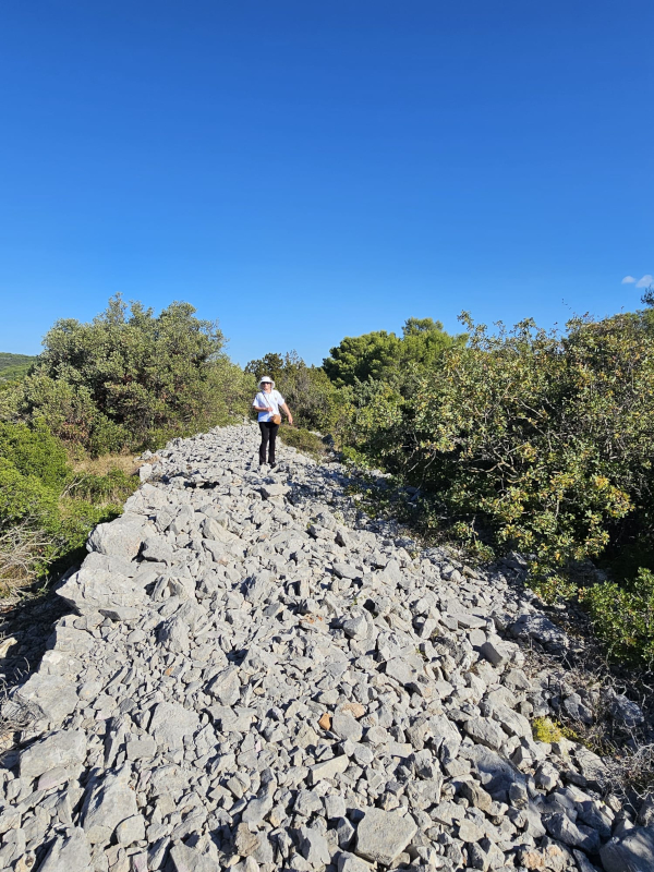 (Foto: Tomislav Beronić)