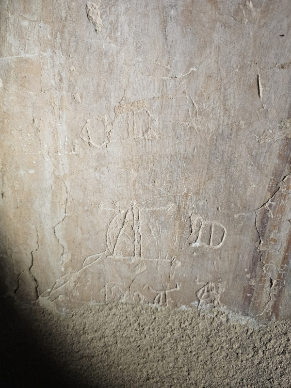 (Foto: Tomislav Beronić)