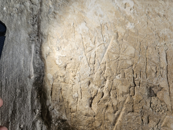 (Foto: Tomislav Beronić)