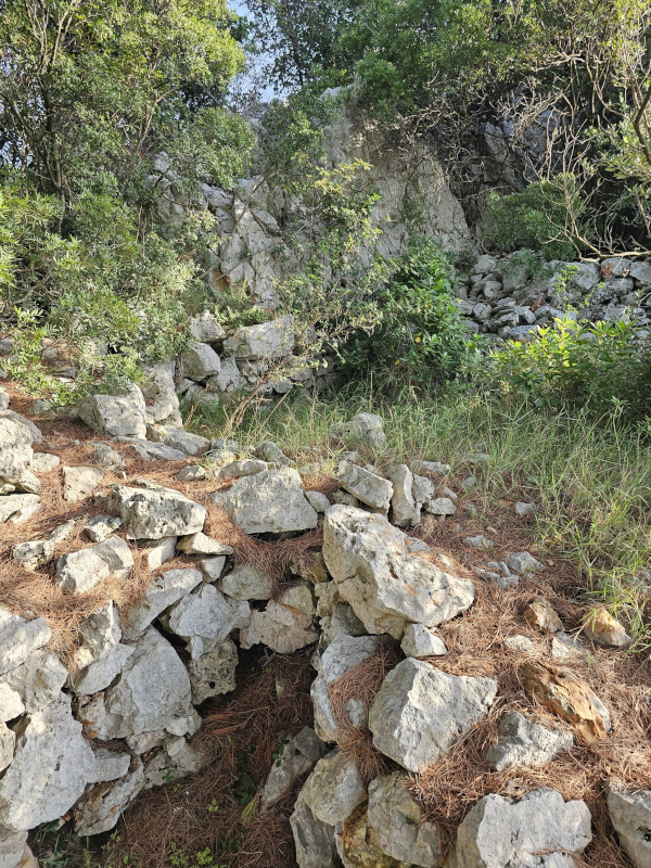 (Foto: Tomislav Beronić)