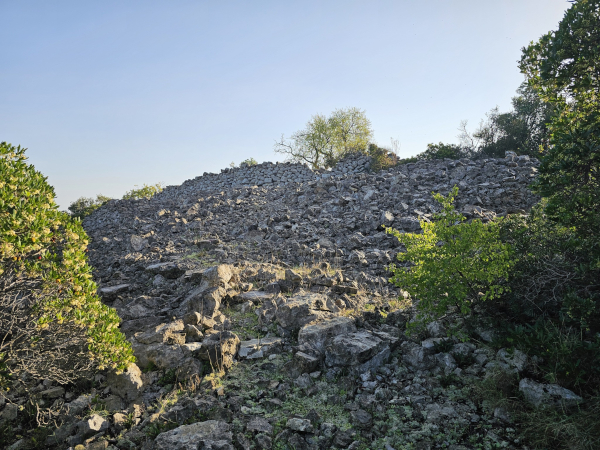 (Foto: Tomislav Beronić)