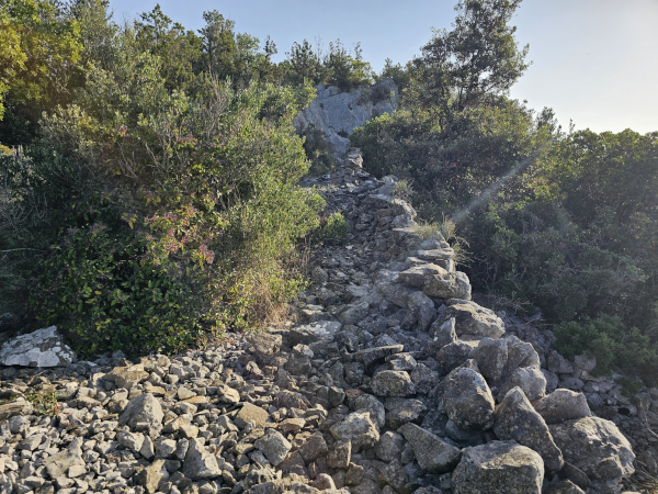 (Foto: Tomislav Beronić)