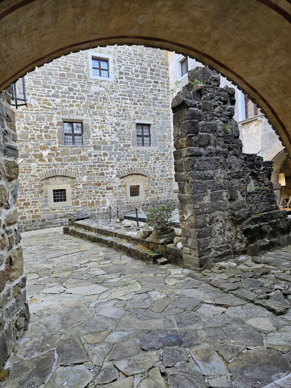 (Foto: Tomislav Beronić)