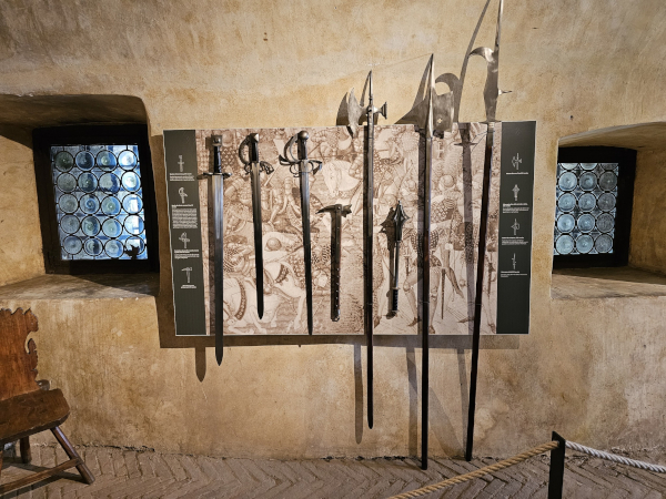 (Foto: Tomislav Beronić)