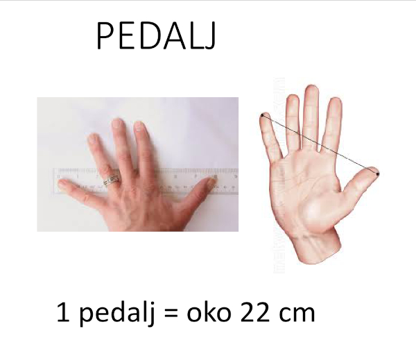 Petar Bakula istaknuo je da su bedrene kosti pronađene na groblju Kraljevina u Ljutom Dolcu bile dugačke ”četiri velika pedlja”, što znači da im je duljina približno iznosila 88 centimetara (Izvor: Hrvatsko matematičko društvo (old.matematika.hr))