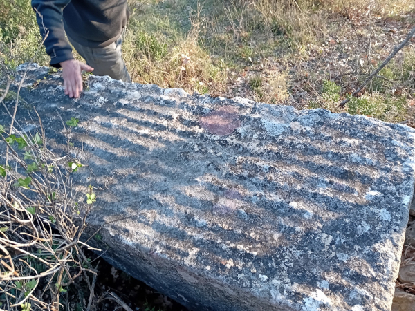 Jedan od velikih stećaka na zapadnome dijelu nekropole Podčerinac, čiji izgled površine odlikuju jedinstvene isklesane usporedne crte (Foto: Goran Glamuzina, 2026.)
