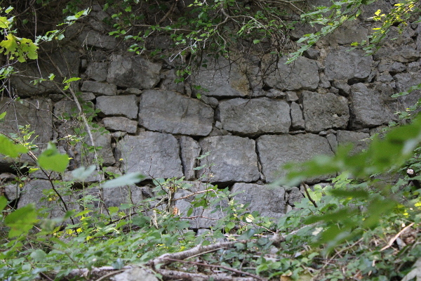 Suhozidna gradnja kuće u Kneževićima koju rastače korijenje stabala bujajuće šume (Foto: Noa Majetić)
