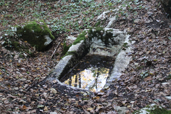 Nakošenost i raspuklost sanduka ukazuju na neuspješan pokušaj njegovog izmještanja iz kamenoloma (Foto: Goran Majetić)