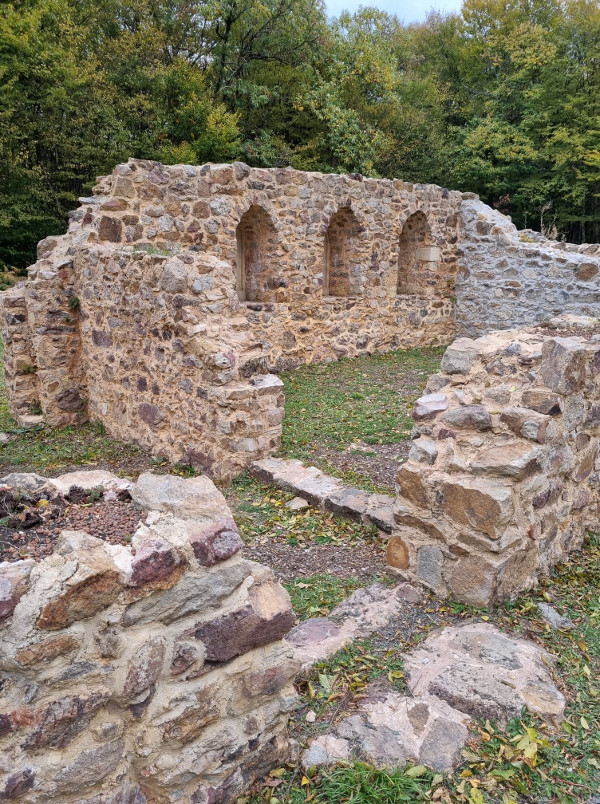 Krajem 18. stoljeća zdanje na Petrovcu ponovno dobiva sakralnu namjenu, izgradnjom pravoslavnog hrama Silaska Svetog Duha unutar dijela nekadašnje pavlinske crkve svetog Petra (Foto: Tomislav Beronić)