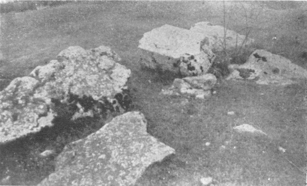 Stećci uz ruševine crkve Sveti Marko u Podumu (Izvor: ”Prilozi povijesti umjetnosti u Dalmaciji”, broj 1 iz 1963. (Anđela Horvat ”Prilog rasprostranjenju stećaka u Liki i Baniji”))