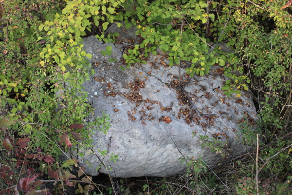 Ulomak raspuknutog stećka (nadgrobnice) između južnog crkvenog zida i ceste, zaraslog u grmlje, dugačkog 70, širokog 105 i debelog 40 centimetara (Foto: Goran Majetić)