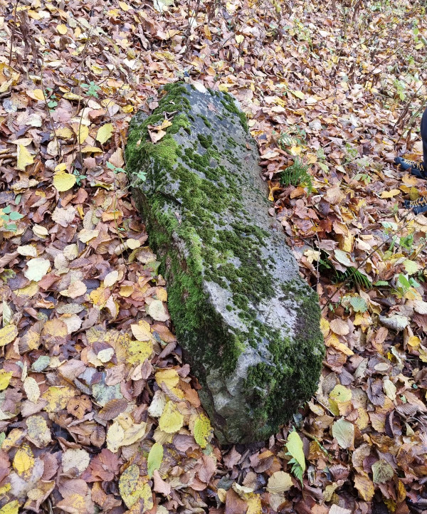 Tajanstveni megalit podno vapnenačke litice koja okružuje vrelo Trupinjske rijeke; moguća nadgrobnica koja je tu izrađena ali iz nepoznatog razloga nije prevezena na groblje u Malu Crkvinu (Foto: Tomislav Beronić)