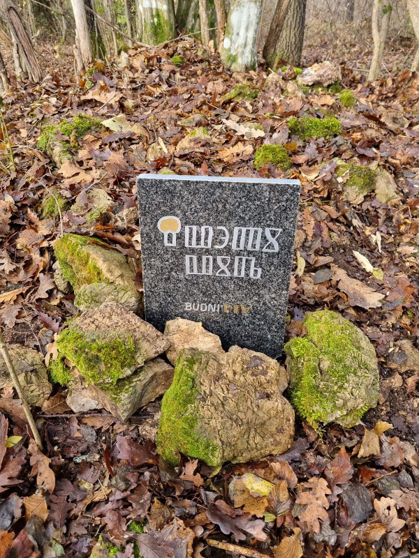 Povijesni izvori svjedoče da je crkva Sveti Vid bila sjedištem istoimene župe od 14. do 16. stoljeća, no pretpostavlja se da potječe iz dublje prošlosti (Foto: Tomislav Beronić)