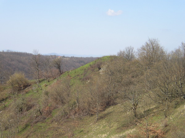 Prilazeći humci s juga, stazom iz sela Točak Veljunski koja vodi rubom visoravni, u oči upada stožast (čunjast) oblik brijega (Foto: Martina Majetić)