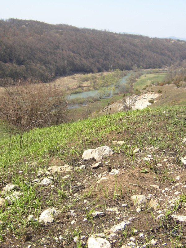 Na zapadnim padinama humka, okrenutim prema rijeci Korani, mjestimice se nailazi na hrpice kamenja, dok se u nasuprotnom istočnom podnožju nazire nekolicina kamenih kvadara pravilnih stranica, možda iz ‘prstena’ koji je opasavao brežuljak (Foto: Goran Majetić)