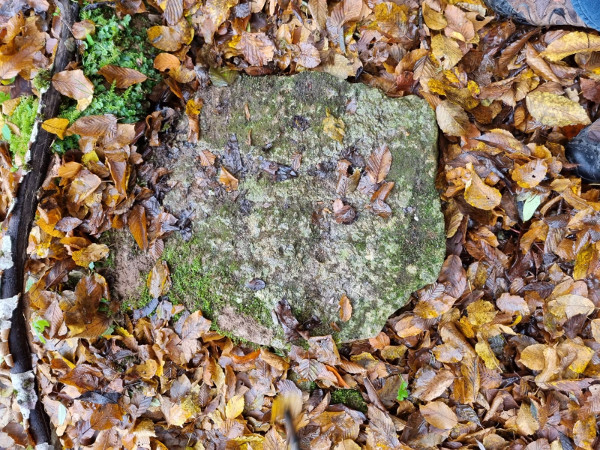 Ispred stijene nalazi se i nekoliko kamenih komada koji su vjerojatno klesani, što otvara mogućnost da je ovdje svojedobno bio manji kamenolom (Foto: Tomislav Beronić)