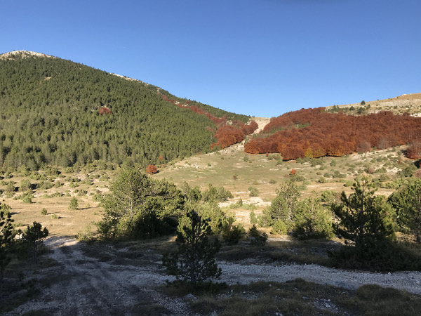 Bunari na Dinari, iako su na putu prema planinarskom domu Brezovac, poznati su samo iskusnijim planinarima i starosjediocima (Foto: Vinko Klarić)
