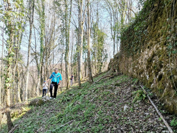 Vanjski plašt srednjovjekovne utvrde pruža se prema zapadu polukružno u dužini od kojih pedesetak metara (Foto: Tomislav Beronić)