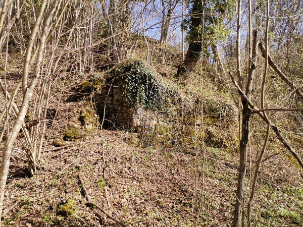 Sa zapadne strane nekada su bila gradska vrata koja su vodila u podgrađe, prostor između vanjskog i srednjeg plašta (Foto: Tomislav Beronić)