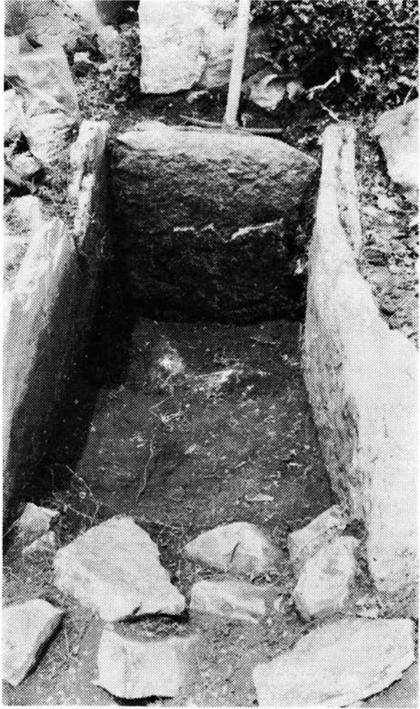 Unutrašnjost groba pod ”Gradinom” u zaselku Kneževići na visoravni Malo Libinje u kojem je navodno pronađena divovska lubanja (snimljen tijekom istraživanja 1982.) (Izvor: Ante Glavičić ”Arheološki nalazi ...”, Senjski zbornik, 1984.)