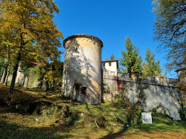 U gradu je sredinom 17. stoljeća stvarala znamenita pjesnička trojka: Fran Krsto Frankopan, njegova sestra Ana Katarina Frankopan Zrinski i njezin suprug, ban Petar Zrinski (Foto: Tomislav Beronić)