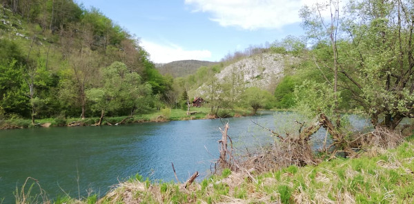Stjenoviti usjek Bišica greda uz desnu obalu Korane (u pozadini se nazire Skradska gora), podno koje u koritu rijeke zatrpan muljem leži poklopac kamene škrinje (Foto: Martina Majetić)