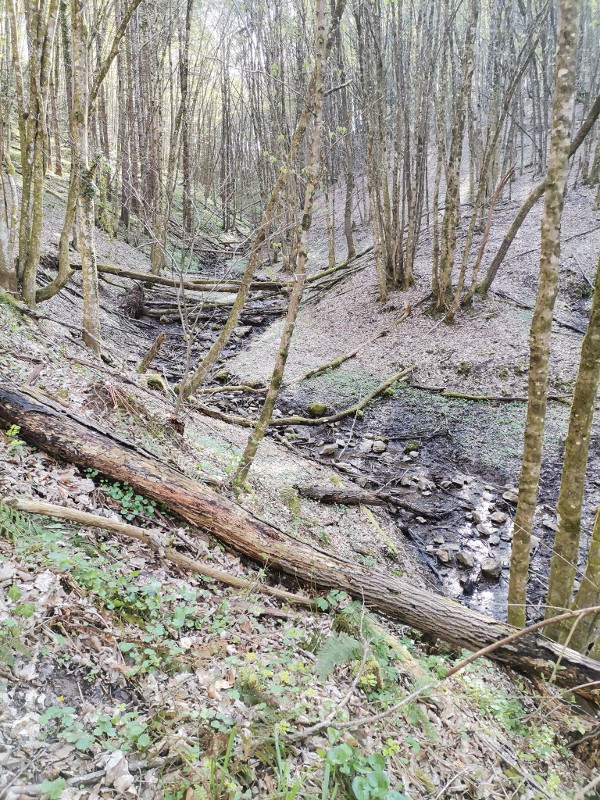 Korito šumskog potoka zapadno od Otmića puno je kamenja koje se obrušilo s ruševina grada (Foto: Tomislav Beronić)