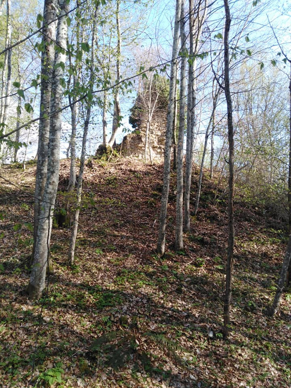 Brijeg, visine od oko 210 metara nad morem, na čijem vrhu je sazidan utvrđeni grad Otmić (Foto: Tomislav Beronić)