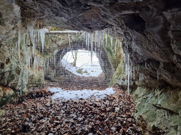 Obilje ledenih siga resilo je tunel tijekom obilaska 8. siječnja 2022. godine (Foto: Tomislav Beronić)