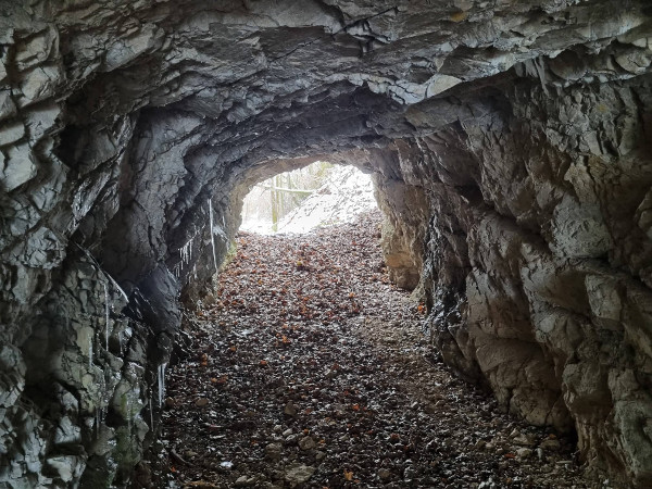 Pogled iz tunela ka južnoj strani i prosjeku kojim se trebala nastaviti Koranska pruga u smjeru Slunja (Foto: Tomislav Beronić)