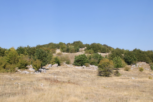 Japodska gradina Stražbenica istočno od sela Barlete, a čijem su podnožju u dva velika tumula pronađeni grobovi iz kasnog brončanog i starijeg željeznog doba s kosturnim i paljevinskim ukopima te brojnim nalazima nakita, nošnji i drugih uporabnih predmeta (Foto: Goran Majetić)