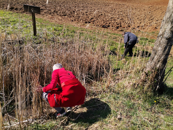 Temperatura vode vrela je oko 15-16 stupnjeva Celzijevih, što opravdava njegov naziv (Foto: Tomislav Beronić)