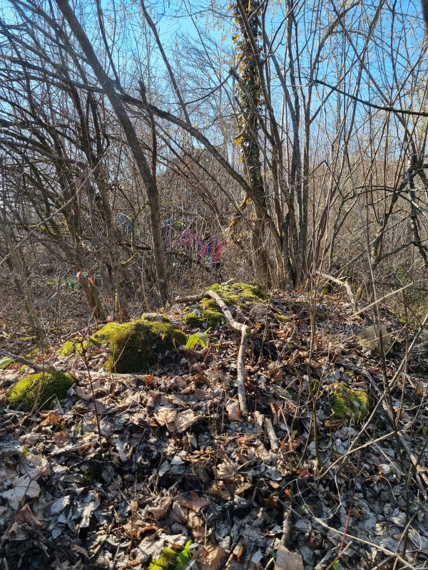 Na padinama glavice obrasle šikarom tek se naziru neznatni ostaci plašta vanjskog zida utvrde Kramen (Foto: Tomislav Beronić)
