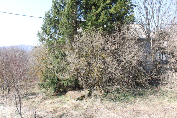 Prostor na kojem su se još u mladosti Nikole Šuputa nalazili kameni blokovi stariji seljani nazivali su Crkvina, a tu se prigodom kopanja temelja za kuću naišlo i na staro groblje (Foto: Goran Majetić)