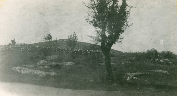 Stećci na starome groblju uokolo temelja crkve na Crkvini u Grabušiću; u pozadini vrh Gradina (Foto: Većeslav Heneberg, 1923.; Izvor: Zbirka fotografske dokumentacije Uprave za zaštitu kulturne baštine Ministarstva kulture (fototeka.min-kulture.hr) - Zbirka Većeslava Henneberga)
