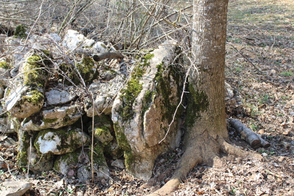 Jedna od velikih kamenih ploča u suhozidini zapadno od mjesnog puta koja je možda također nekoć bila nadgrobnica (Foto: Goran Majetić)