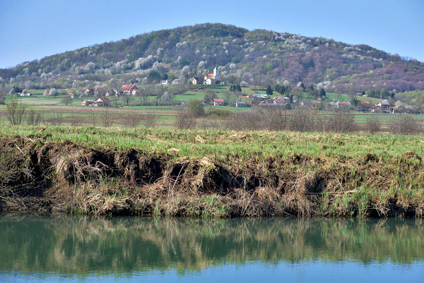 Pogled na Martinšćak s istoka, s desne obale Korane; podno brijega vidi se crkva Sveti Vid u Ladvenjku - zamišljena okomica koja je produžetak zvonika točno dotiče vrh Martinšćaka (Foto: Mario Sečen)