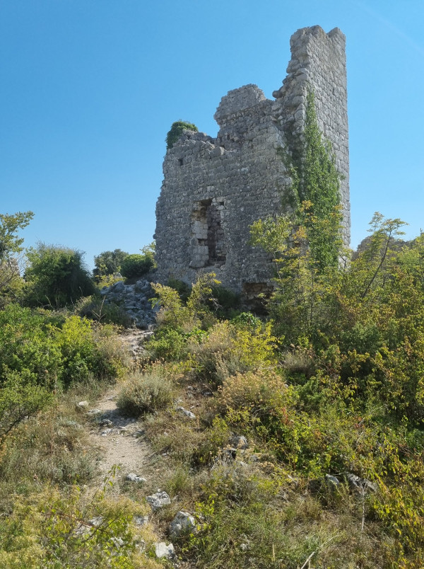 Nakon što je kralj Ladislav Napuljski sramno prodao Dalmaciju Mlečanima, tako je i Vrana promijenila titulare kojom su tada već stotinjak godina upravljali vitezovi Ivanovci. (Foto: Tomislav Beronić)
