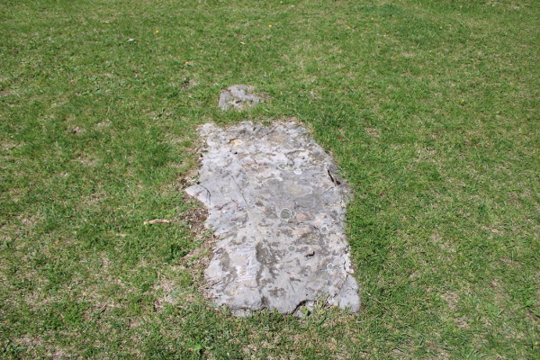 Nadgrobna ploča dosta je oštećena; dugačka je oko 130 i široka 80 centimetara (Foto: Goran Majetić)
