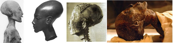 Fotografije prikazuju egipatske ekstremno dolihocefalne mumije vladarskih slojeva (The Younger Lady, Nefertiti, Tutankamon i Hatšepsut).